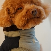 Kirby.2014.02.08-004.JPG
