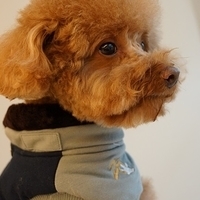Kirby.2014.02.08-006.JPG