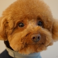 Kirby.2014.02.08-010.JPG