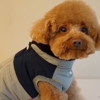 Kirby.2014.02.08-012.JPG