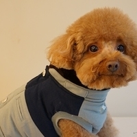 Kirby.2014.02.08-013.JPG