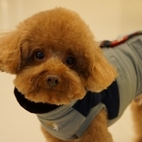 Kirby.2014.02.08-014.JPG
