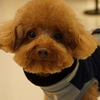 Kirby.2014.02.08-015.JPG