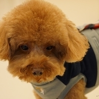 Kirby.2014.02.08-016.JPG
