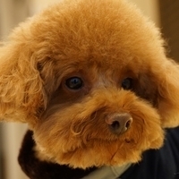 Kirby.2014.02.08-017.JPG