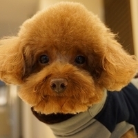 Kirby.2014.02.08-019.JPG