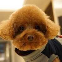 Kirby.2014.02.08-020.JPG