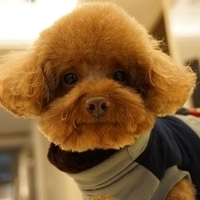 Kirby.2014.02.08-021.JPG