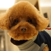 Kirby.2014.02.08-022.JPG