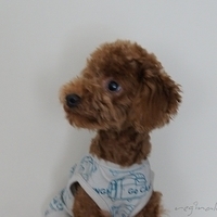 Kirby.2011.01.02-001.JPG