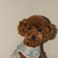 Kirby.2011.01.02-002.JPG