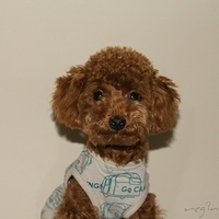 Kirby.2011.01.02-004.JPG