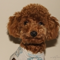 Kirby.2011.01.02-005.JPG