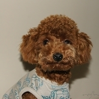 Kirby.2011.01.02-006.JPG