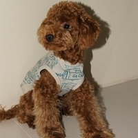 Kirby.2011.01.02-007.JPG