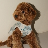 Kirby.2011.01.02-008.JPG