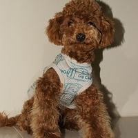 Kirby.2011.01.02-009.JPG