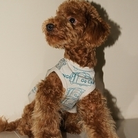 Kirby.2011.01.02-010.JPG