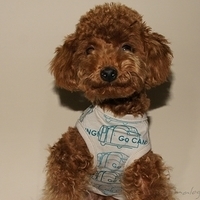 Kirby.2011.01.02-011.JPG