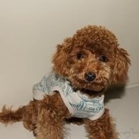 Kirby.2011.01.02-012.JPG