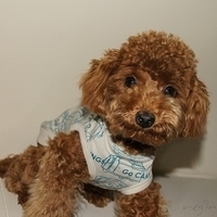 Kirby.2011.01.02-014.JPG