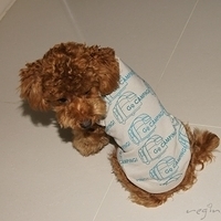 Kirby.2011.01.02-015.JPG