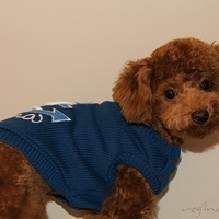 Kirby.2011.01.08-001.JPG