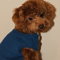 Kirby.2011.01.08-002.JPG