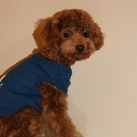 Kirby.2011.01.08-003.JPG