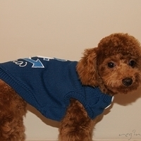Kirby.2011.01.08-004.JPG