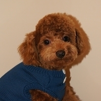 Kirby.2011.01.08-005.JPG