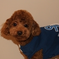 Kirby.2011.01.08-006.JPG