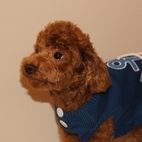 Kirby.2011.01.08-007.JPG