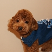 Kirby.2011.01.08-008.JPG