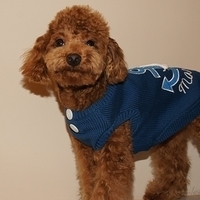 Kirby.2011.01.08-009.JPG