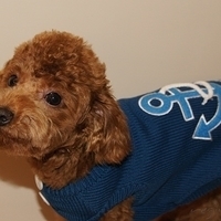 Kirby.2011.01.08-010.JPG