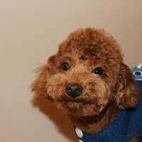 Kirby.2011.01.08-011.JPG