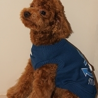 Kirby.2011.01.08-012.JPG