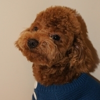 Kirby.2011.01.08-013.JPG
