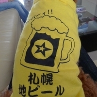 Kirby.2011.01.23-001.JPG