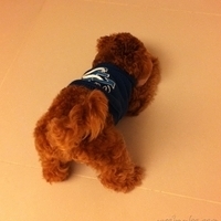 Kirby.2011.01.28-001.jpg