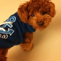 Kirby.2011.01.28-002.jpg