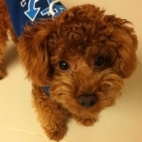 Kirby.2011.01.28-003.jpg