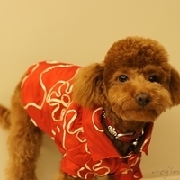 Kirby.2011.01.31-001.JPG