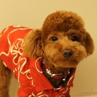 Kirby.2011.01.31-002.JPG