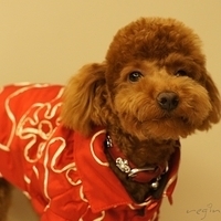 Kirby.2011.01.31-003.JPG