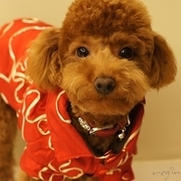 Kirby.2011.01.31-004.JPG