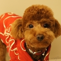 Kirby.2011.01.31-005.JPG