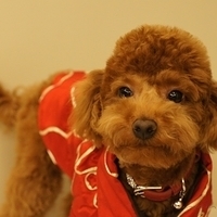 Kirby.2011.01.31-006.JPG