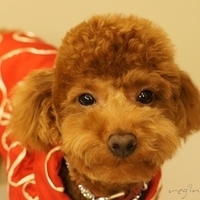 Kirby.2011.01.31-007.JPG